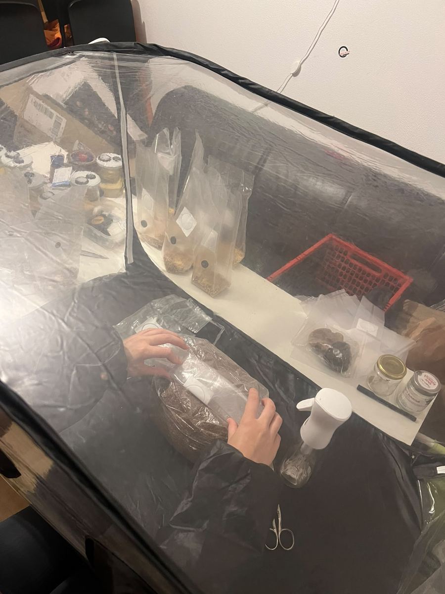 Arbeiten in einer durchsichtigen Clean-Box