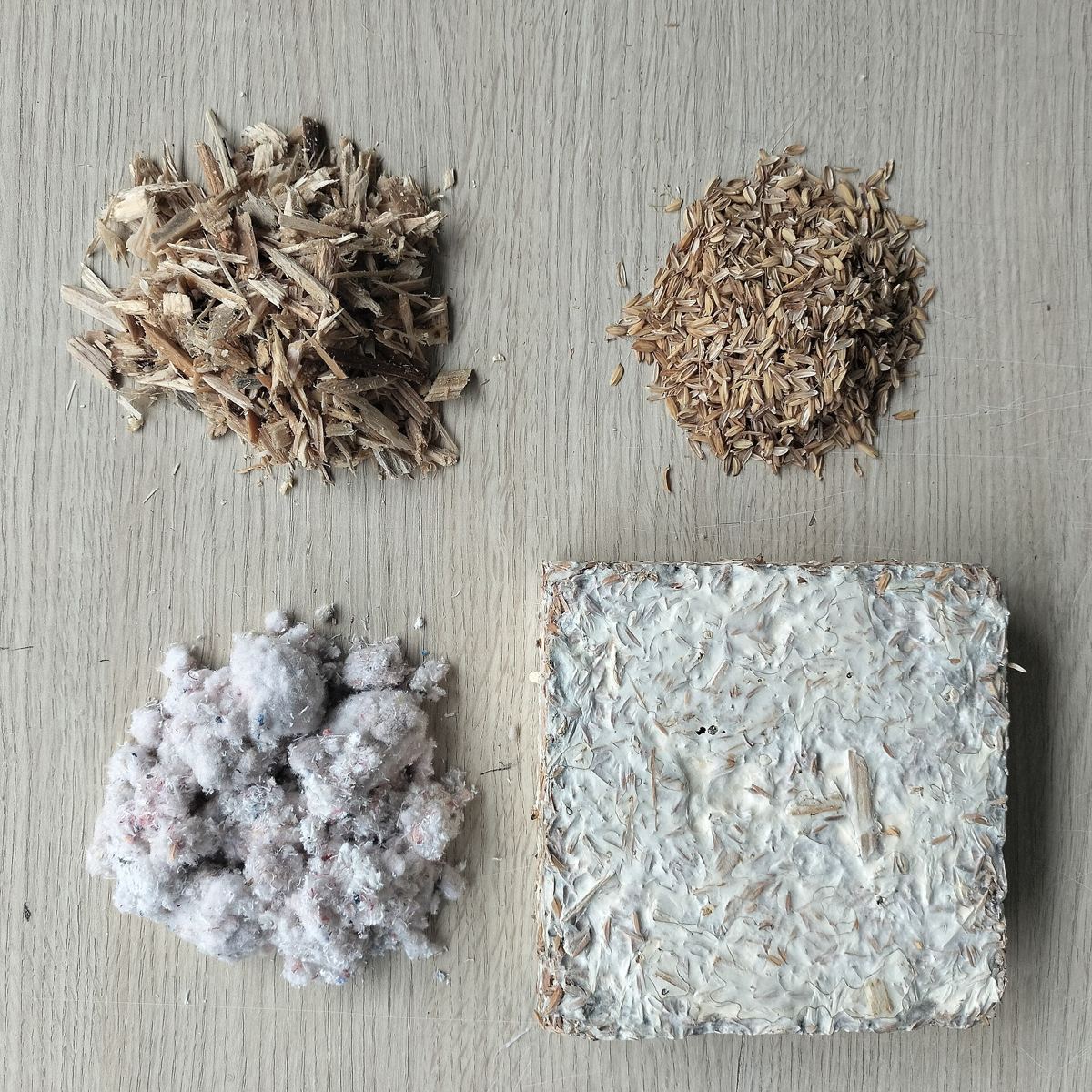 Holzspäne, Reisspelzen, Textilfasern und ein daraus gewachsener weißer Myzelblock